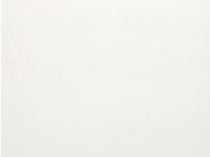 Dumaplast Dumapan Basic wandpanelen 260x25 cm 2,6m² 10mm grijswit