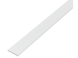 Eco platprofiel 20x2 100cm PVC wit