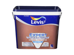 Levis Expert muurverf gevel zijdeglans 5l wit