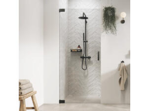 Sealskin Pure porte de douche pivotante 80x200 cm verre clair gunmetal