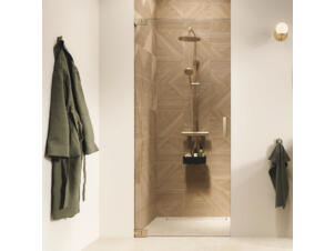 Sealskin Pure porte de douche pivotante 80x200 cm verre clair or brossé