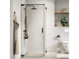 Sealskin Pure porte de douche pivotante pour combinaison avec paroi latérale 100x200 cm verre clair gunmetal