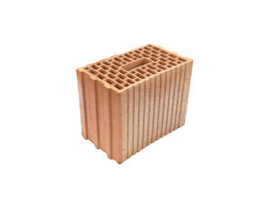 Thermoplan brique à coller construction rapide 15N 31x19x25 cm