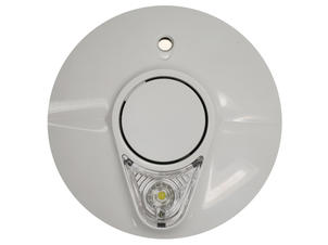 AngelEye Thermoptek rookmelder 2x AA