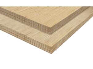 Twin Multiplex 244x122 cm 18mm